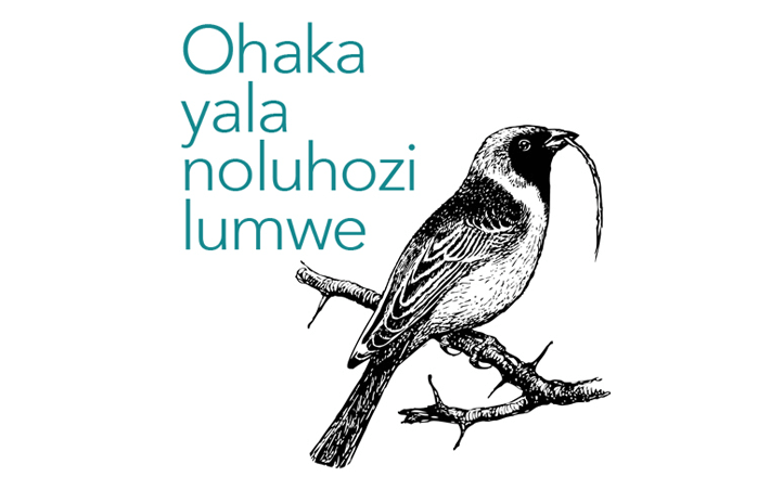 Ohaka yala noluhozi lumwe