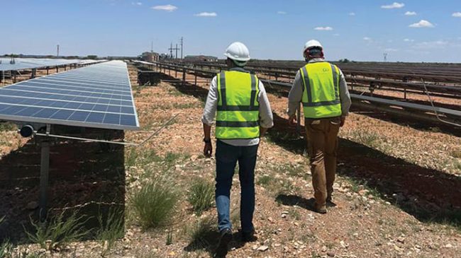 Two men walking at the GreeNam solar power farms